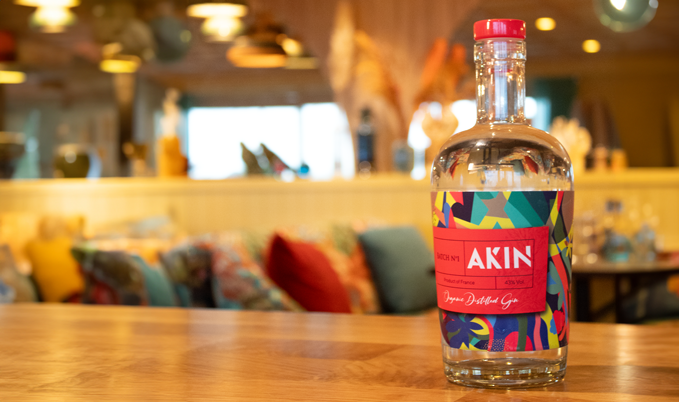 Gin pour bar et mixologues